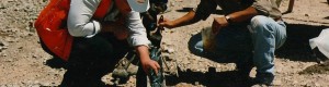 Exploration_geologist