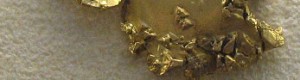 Native_gold_nuggets