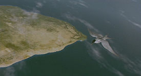 migration