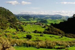 New-Zealand