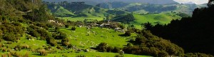 New-Zealand
