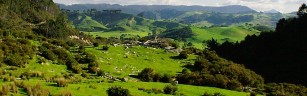New-Zealand
