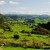 New-Zealand