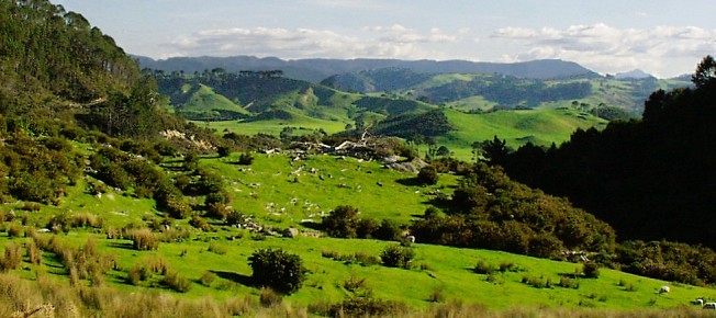 New-Zealand
