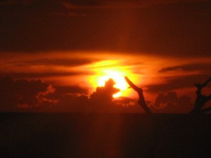 sun