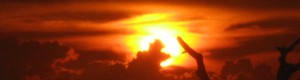 sun