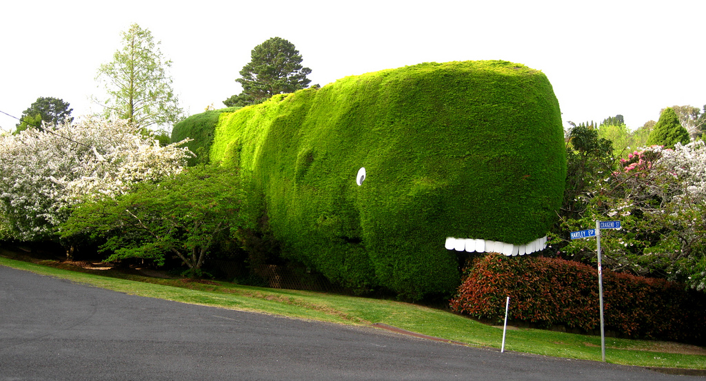 Hedgework, source: http://www.flickr.com/photos/mithril/4382135401/in/photostream/