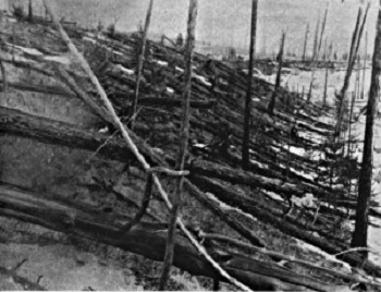 Tunguska_event_fallen_trees1
