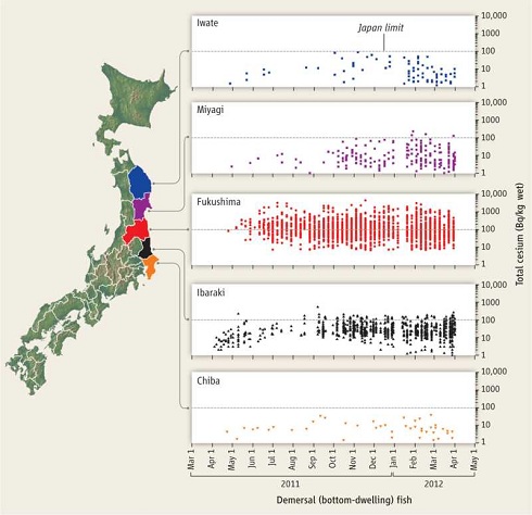 Fukushima-fish-large1
