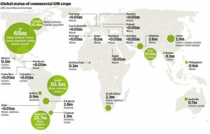 guardian_globemap_wheader_x616