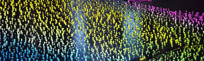 Wishes for 2013, Singapore