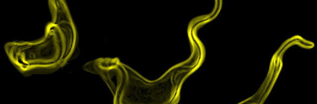 Trypanosomes