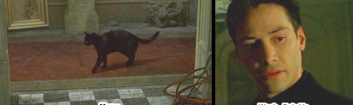 matrix