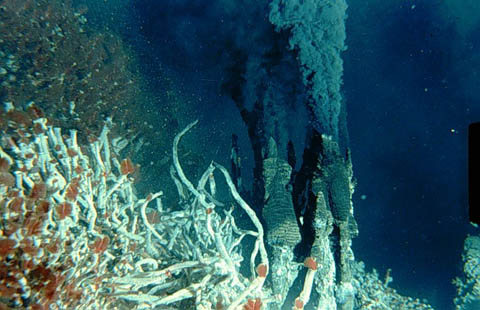 Black Smoker Hydrothermal Vent (Image Courtesy University of Victoria)