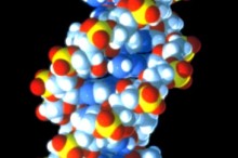 DNA