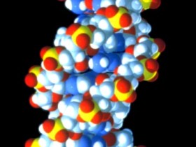 DNA