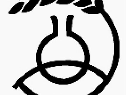 320951_434934179907453_922743399_n