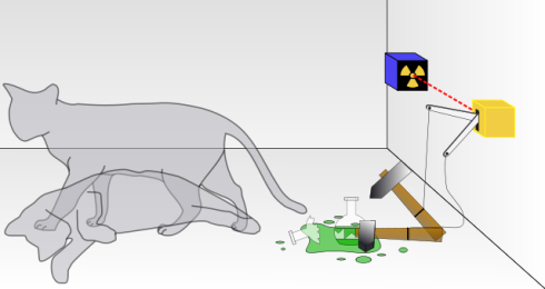 Diagram of Schrödinger's cat theory. Image credit: Dhatfield