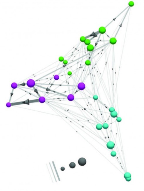 The connectome module as a 3D graph. Cell types with stronger connections are positioned closer to each other, using an algorithm. Three spatially segregated groups are observed that closely match the pathways identified through clustering (colouring of spheres). The dominant direction of signal flow is oriented into the page.