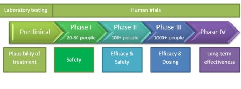 clinical phases