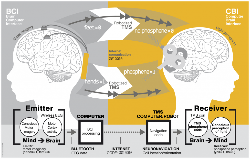 brain-to-brain